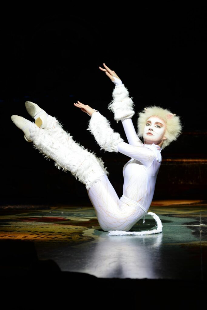 Cats weiße Katze 2024