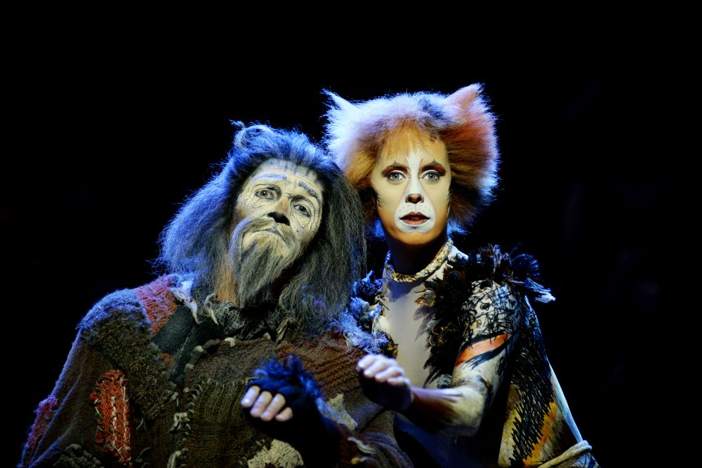 Cats Tour