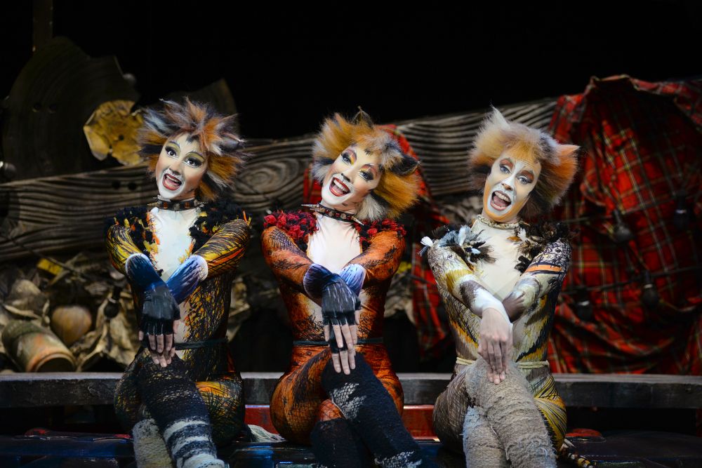 CATS Musical Infos & mehr Musical1