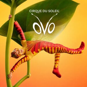Cirque du Soleil OVO Key Visual von Cirque du Soleil OVO mit Artist im Insektenkostuem an einem Pflanzenstaengel