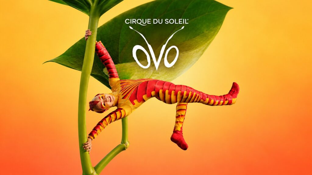 Cirque du Soleil – OVO