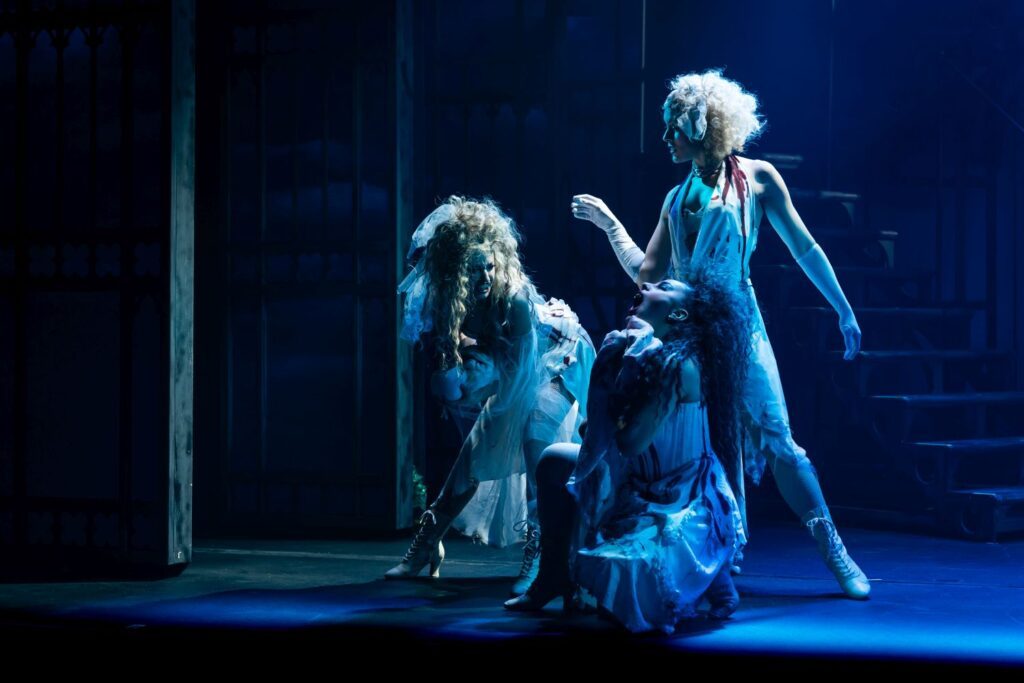 Dracula Tour Musical - Draculas Bräute