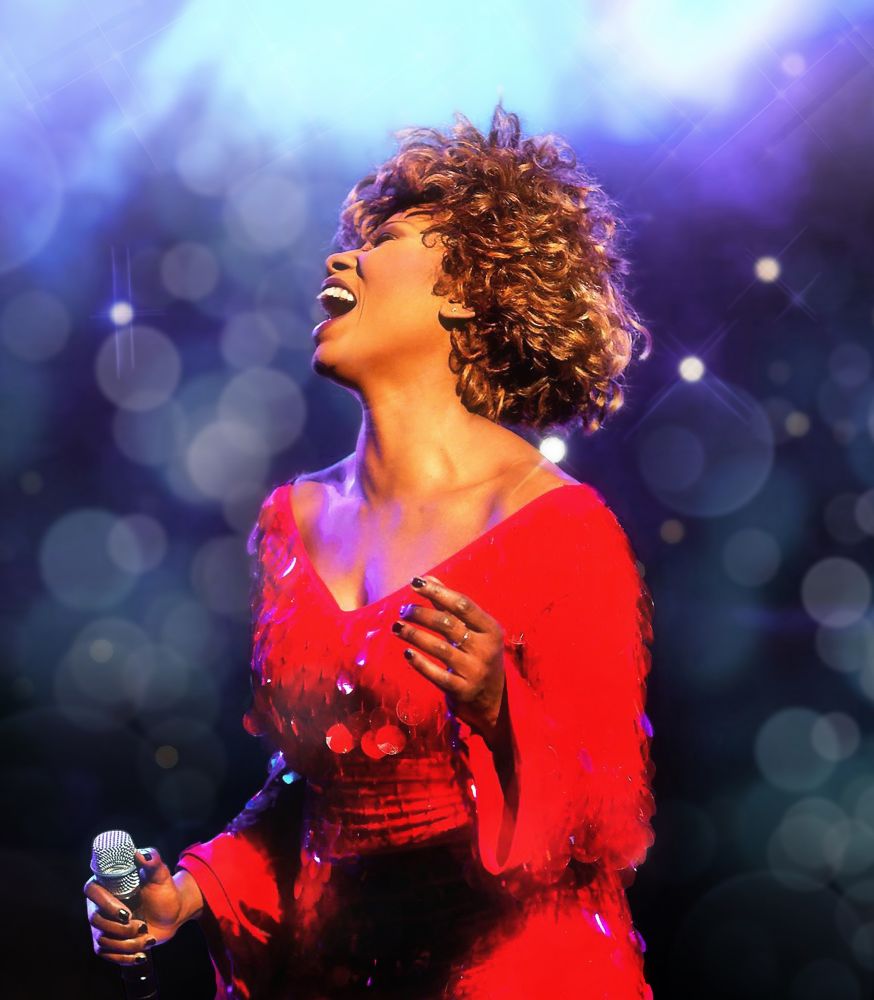 Simply The Best Tina Turner